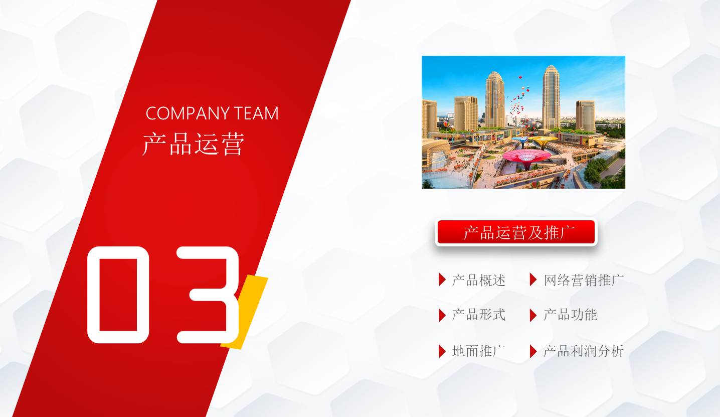 项目策划 (43).pptx